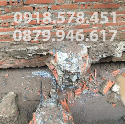 HinhAnhDiDoiNhaTPHCM2